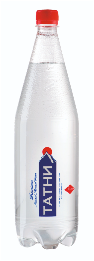 Татни 1,25 л. (12 шт.) б/газ фото 1