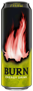 Берн 0,5 л. Гуава (12 шт.) ж\б фото 1